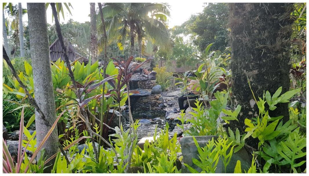 Baan Sakuna Hotel Chiang Khong Dış mekan fotoğraf