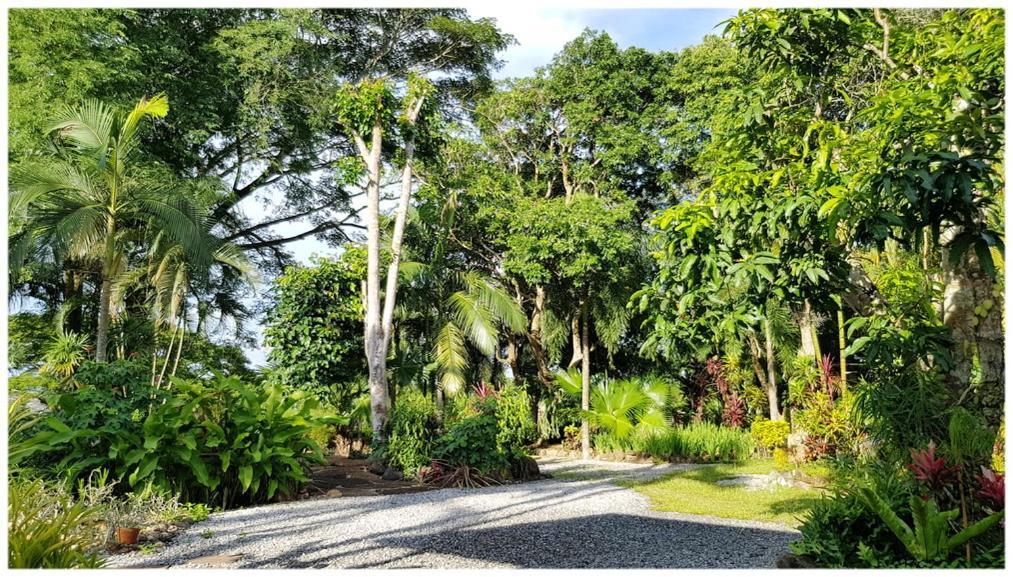 Baan Sakuna Hotel Chiang Khong Dış mekan fotoğraf